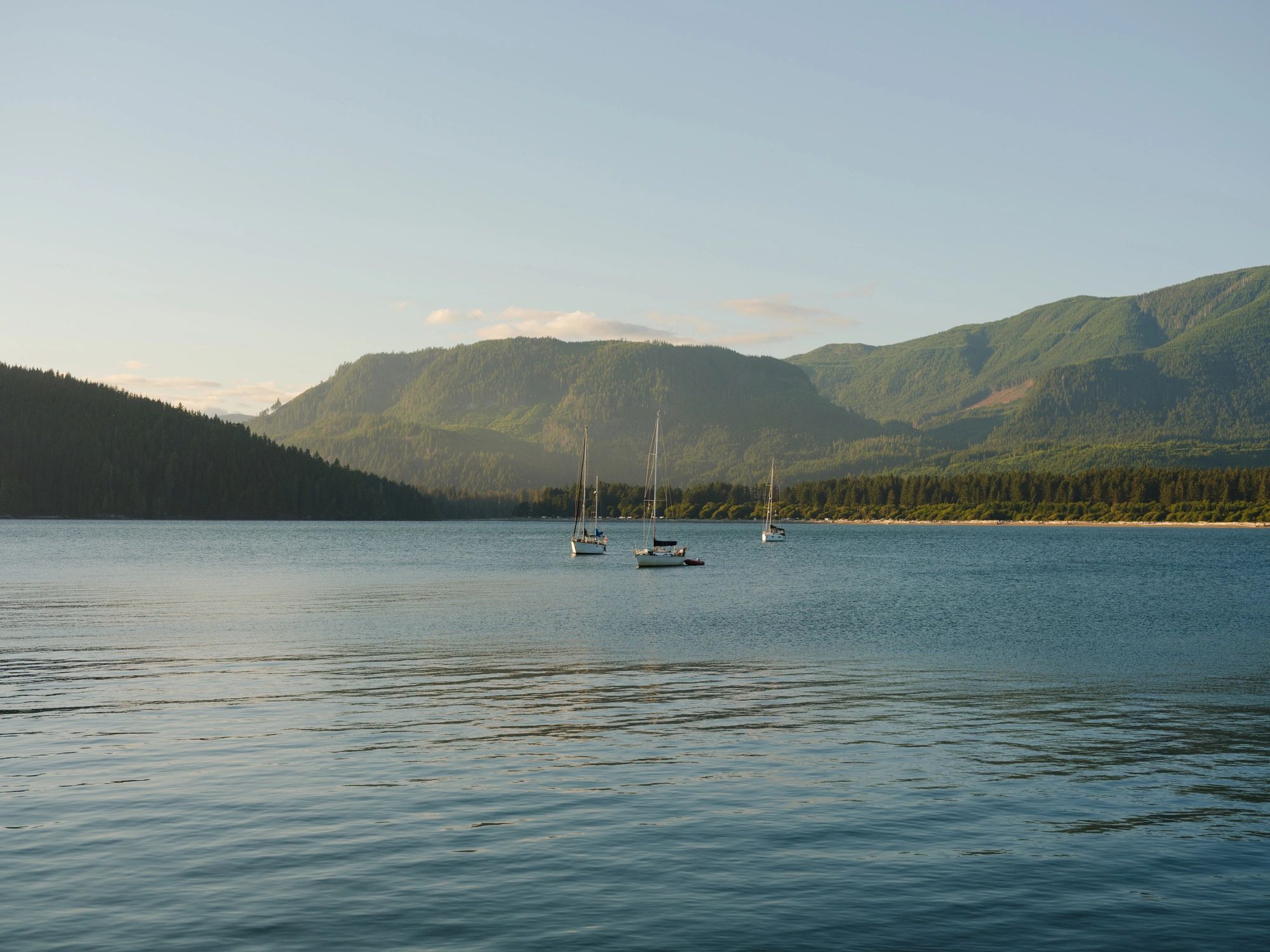 Sailboats on a calm mountain lake in British Columbia