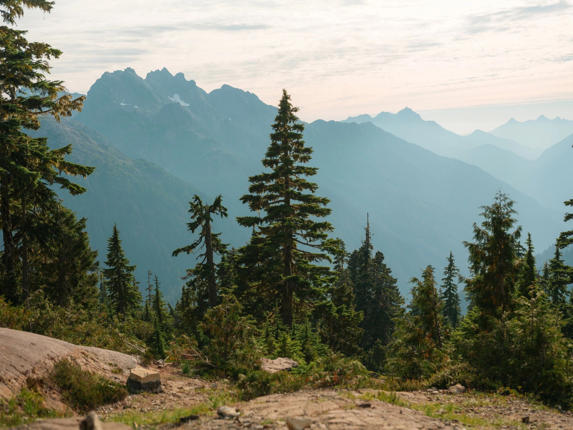 Evergreen forest and misty mountains on Vancouver Island