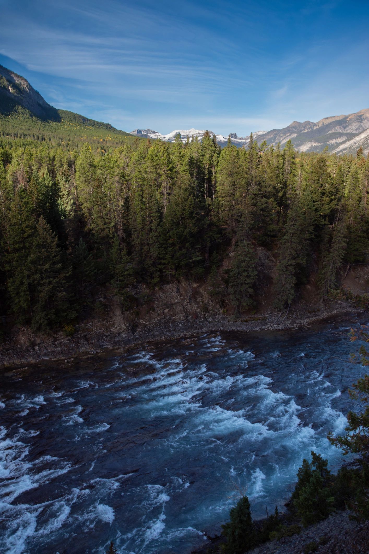 Evergreen forest and river in Banff representing enduring growth